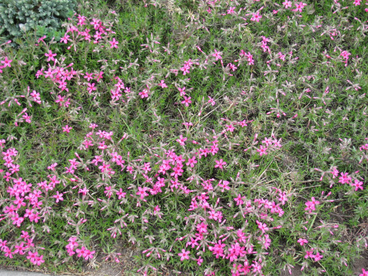 433071 (a): :1600x1200